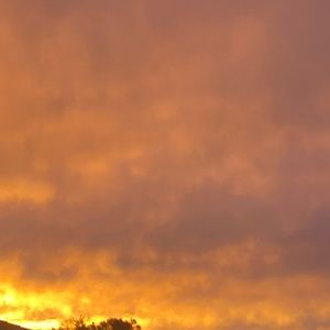 Meet your Posher, Cassandra